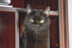 DSCN2667-1-Copia